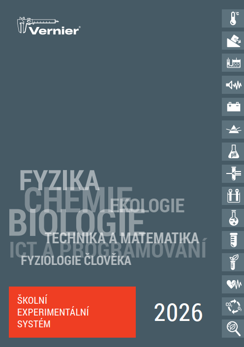 ikona
